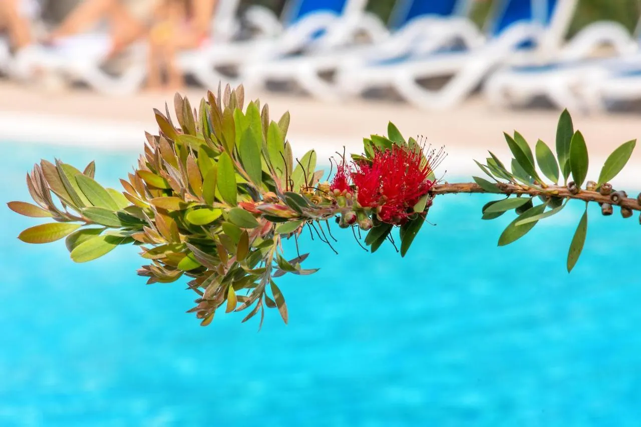 Sowell Hotels La Plage Saint-Raphael